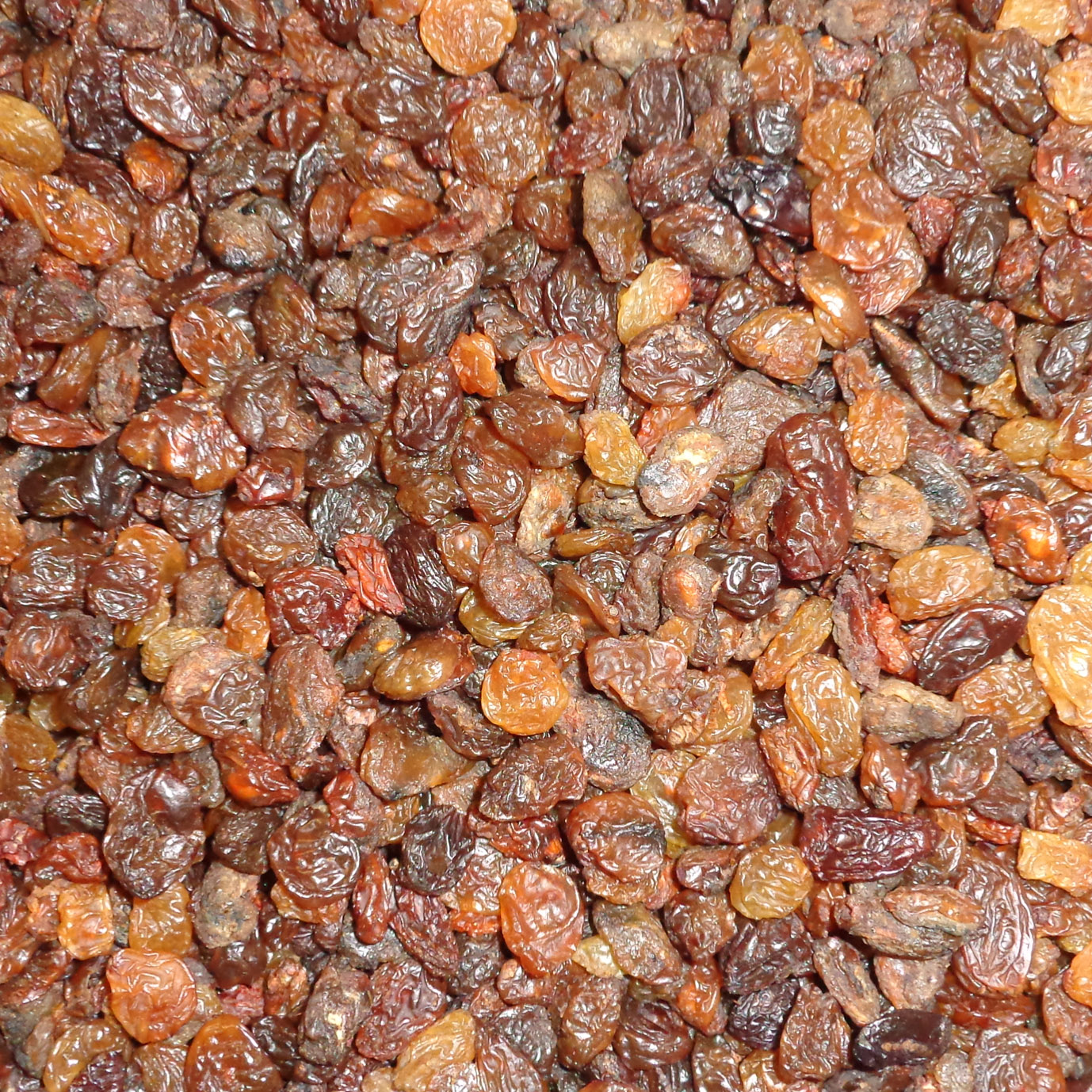Sultanas Raisins Currants For Birds Twootz
