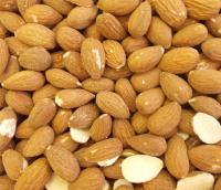 Almonds For Wild Birds And Wildlife