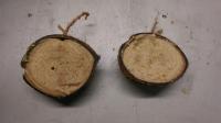 Imperfect Coconut Halves