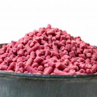 Twootz Berry Suet Pellets