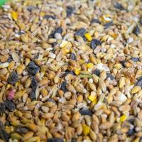 Wild Bird Original Seed Mix