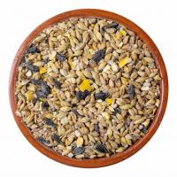 Wild Bird Original Seed Mix