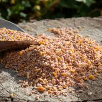 Robin No Mess Seed Mix Wild Birds