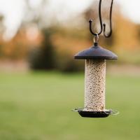 Gardman Black Steel Suet Treat And Mealworm Feeder