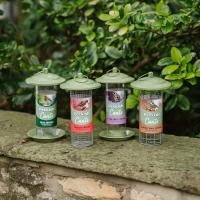 Peckish Canto Nyjer Seed Feeder