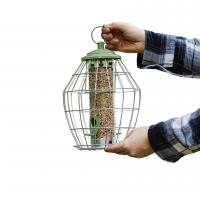 Peckish Canto Squirrel Proof Seed Feeder