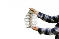 Peckish Canto Squirrel Proof Energy Ball Feeder