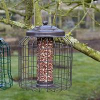 Gardman Heavy Duty Squirrel Proof Peanut Feeder