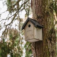 Peckish Garden Bird Nest Box