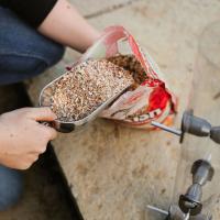 Peckish Bird Food Metal Scoop