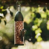 Peckish Peanuts Filled Feeder