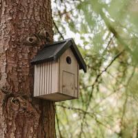 Peckish Garden Bird Nest Box