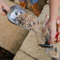 Peckish Bird Food Metal Scoop