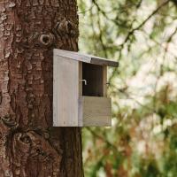 Peckish Everyday Nest Box