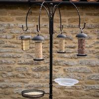 Gardman Complete Feeding Station