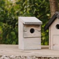 Peckish Everyday Nest Box