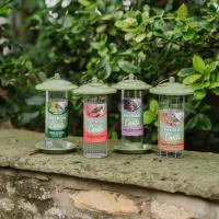 Peckish Canto Peanut Feeder