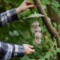 Peckish Canto Energy Ball Feeder