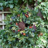 Simon King Wreath Nester