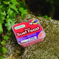 Gardman Berry Suet Feast