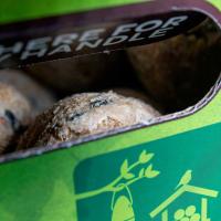 Peckish Natural Balance Energy Balls
