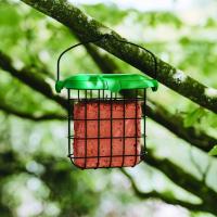 Gardman Berry Suet Feast