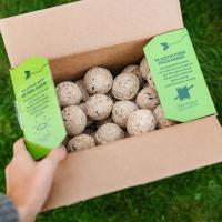 Peckish Complete Energy Balls