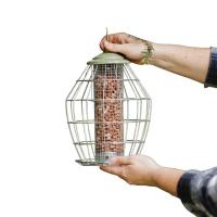 Peckish Canto Squirrel Proof Peanut Feeder