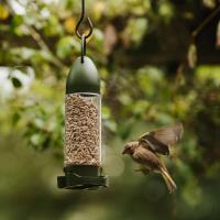 Peckish Sunflower Hearts Filled Feeder