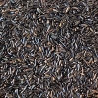 Niger Seed
