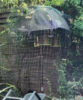 This is 'Colditz'. Greater Spotted Woodpecker and tits can access food. Squirrels and parakeets find it more problematic!